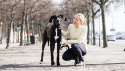 Ge din hund och katt ett långt och friskt liv