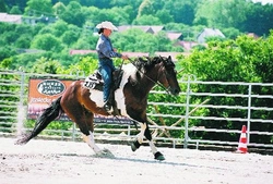 Reining a jeho manévry II.