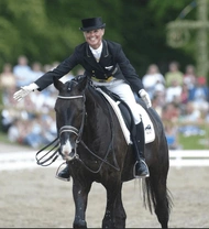 Hästnet söker ekipage till clinic för Wiveca Schenholm på Magic Park Stables 11 november