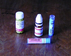 Homeopatie u koní