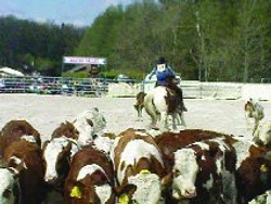 Zahájení sezóny seriálem Ranch Rodeo
o titul Champion Czech Republic