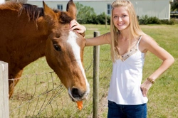 Healthy Horse Treats