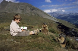 Una curiosa amistad en los Alpes