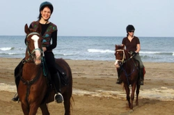 Horse riding on the beach