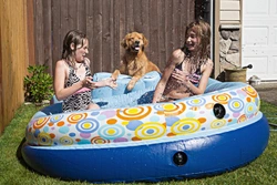 Summer safety tips - Your dog and your paddling pool