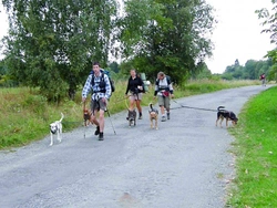 Dogtrekking v praxi – na Stezce vlka po sedmé