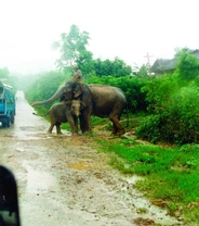 Kambodža a Laos