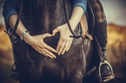 Looking after your horse and maintaining social distancing