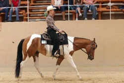 Western Riding Club a nové možnosti