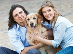 Five ways in which owning a dog can test your relationship with your partner