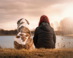 Che nome per il tuo nuovo cucciolo? Ecco alcune idee