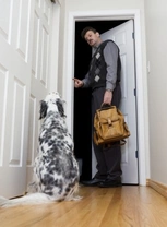 Teaching dogs good door etiquette