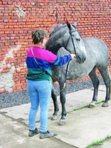 Kůň v pohodě Díl 17.: Udidlo a další komunikace s koněm