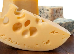Veel kaas (zout en lactose) giftig voor honden