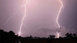 Waarom zijn honden bang voor onweer?