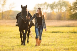 Keeping Your Horse Protected From Theft And Straying