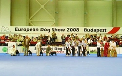 Eurodogshow 2008