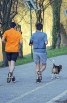 Salir a correr con tu perro