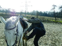 Jak jsem se učil jezdit na koni