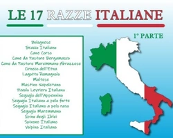 Le 17 razze italiane, vanto e orgoglio dell'Italia cinofila - 1° parte