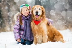 5 ways to involve your furry friend in all the festive fun