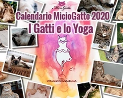 MicioGatto presenta il calendario 2021