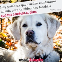 Frases y citas de animales