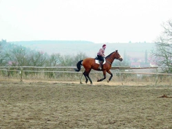 Kůň v pohodě Díl 28.: Rychle a ještě rychleji