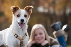 Does your dog growl at your children?