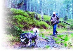 Musa pedestris aneb Abeceda dog – trekkingu (23.)