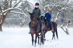 Top Equestrian New Year’s Resolutions for a Successful 2025