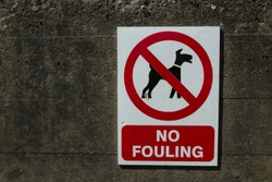 The 4 Rules to Picking up and Disposing of Dog Poo