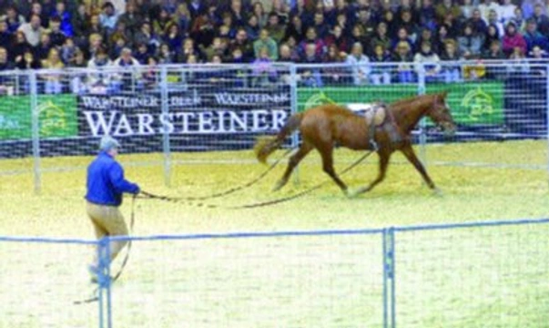 Monty Roberts, jak ho možná neznáte