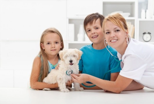 How veterinary nurse clinics can help you