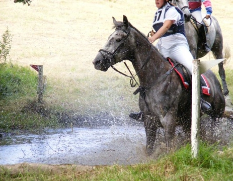 Introduction to cross country horse riding