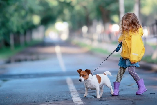 The five golden rules children need to learn about dogs and human food