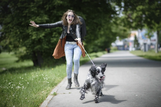 Jak naučit psa chodit na vodítku? Obrňte se hlavně trpělivostí