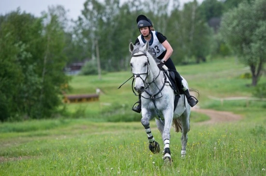 Introduction to Endurance riding