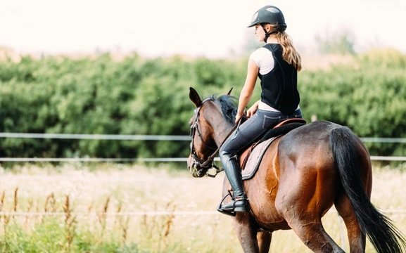 Solutions to Common Horse Riding Position Faults