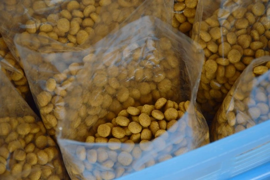 Storing and serving your dog’s food - Seven pitfalls to avoid