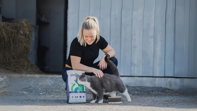 Studie bekräftar - Petgoods kattfoder är larvigt gott och bra för magen!