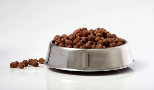 Why Antioxidants & The Six Nutrients Are Essential in a Dog's Diet