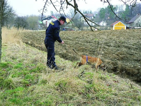 Čich