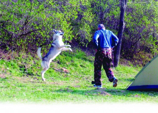 Musa pedestris aneb Abeceda dog – trekkingu (15.)