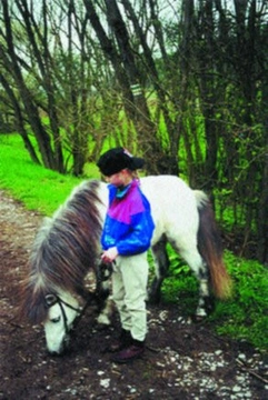 Shetlandský pony bojuje o svoji záchranu