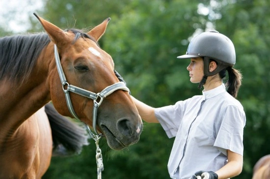 Learning to horse ride - The top five mistakes made by novice riders