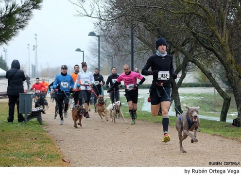 Canicross y Bikejoring: Deporte con tu perro