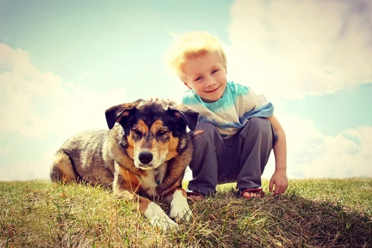 Research shows that children are more likely than adults to be bitten by dogs