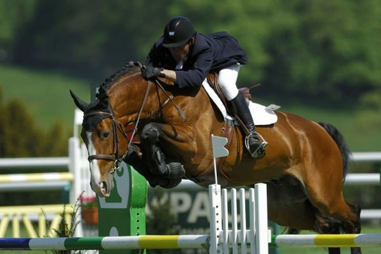Equestrian Sports and Disciplines