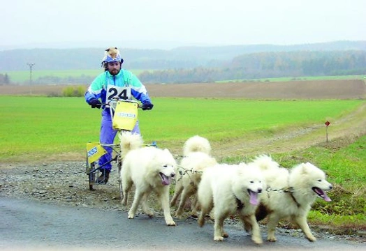 Cakovskonovodvorský okruh aneb závody psích spřežení na Hané